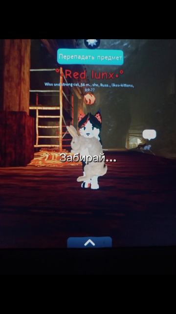 Мысли Рыжей Рыси перед уходом в ЗП...