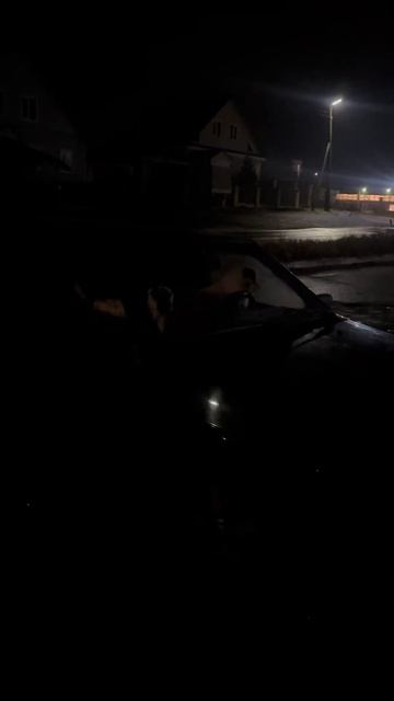 Сигнализация гав гав