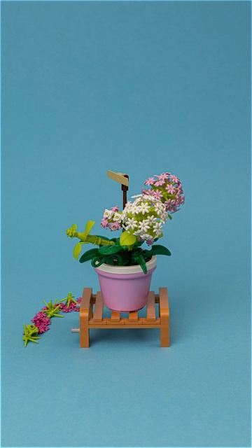 GARDEN_HYDRANGEA (1) смотреть онлайн