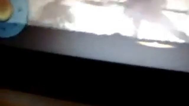 бой с тенью рысь двойной перфект смотреть онлайн