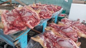 промежуточный итог. Забили 11шт