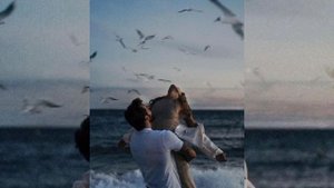 Саблиминал на счастливые отношения
#отношения #счастье #любовь