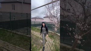 Дом в цемдолине