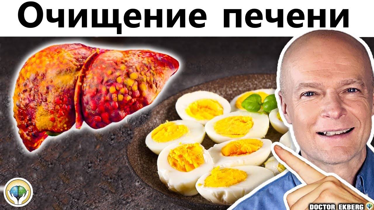 Топ 10 продуктов для очищения жирной печени Dr. Sten Ekberg