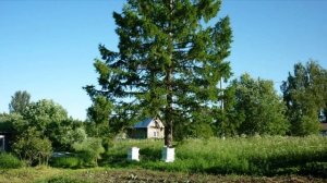 Подписывайтесь на канал Деревенские посиделки!