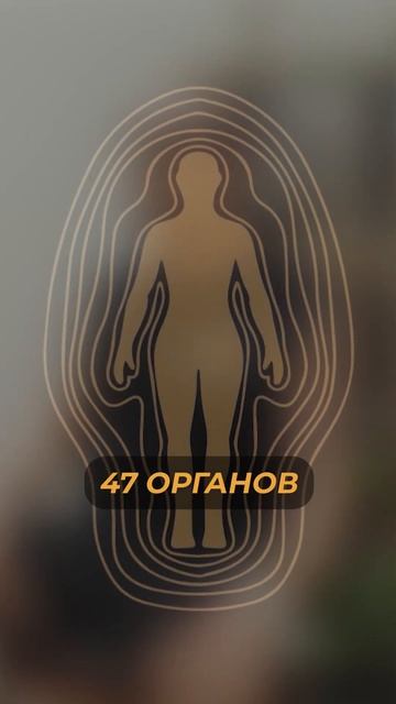 Энергопрактика или медицина ?