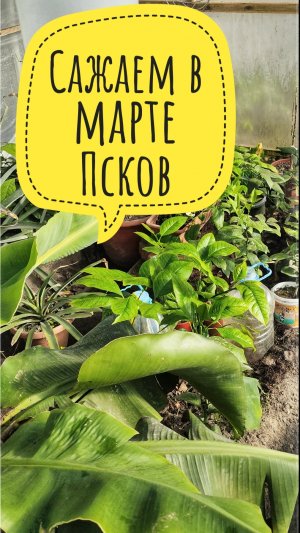 Подогрев теплицы
