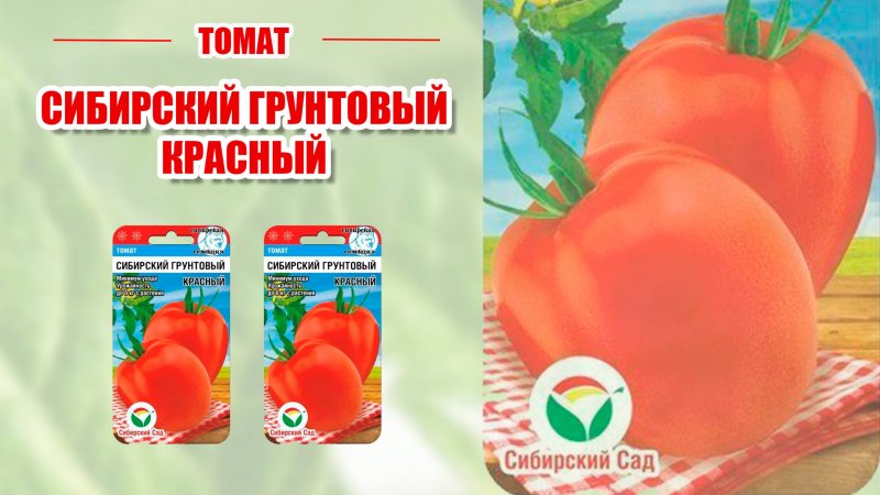 ТОМАТ СИБИРСКИЙ ГРУНТОВЫЙ КРАСНЫЙ