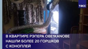 В квартире рэпера Obe1Kanobe нашли более 20 горшков с коноплей