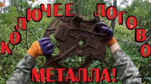 ASMP КОП МЕТАЛЛА — НЕ ЗРЯ ВЫБРАЛИСЬ С ПРИЦЕПОМ!