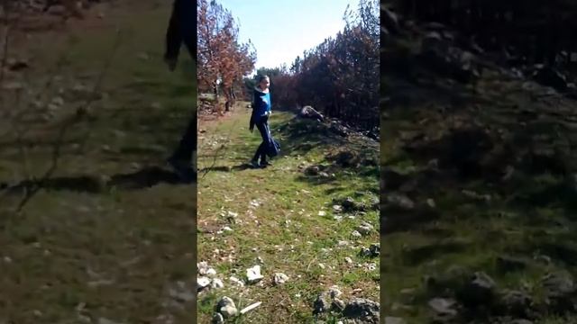 Приключение двух подруг в загадочном лесу 4серия