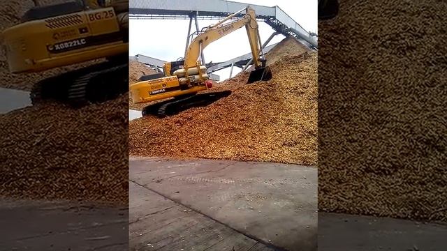 XGMA ตดแกส แรงๆเลย  by PK 