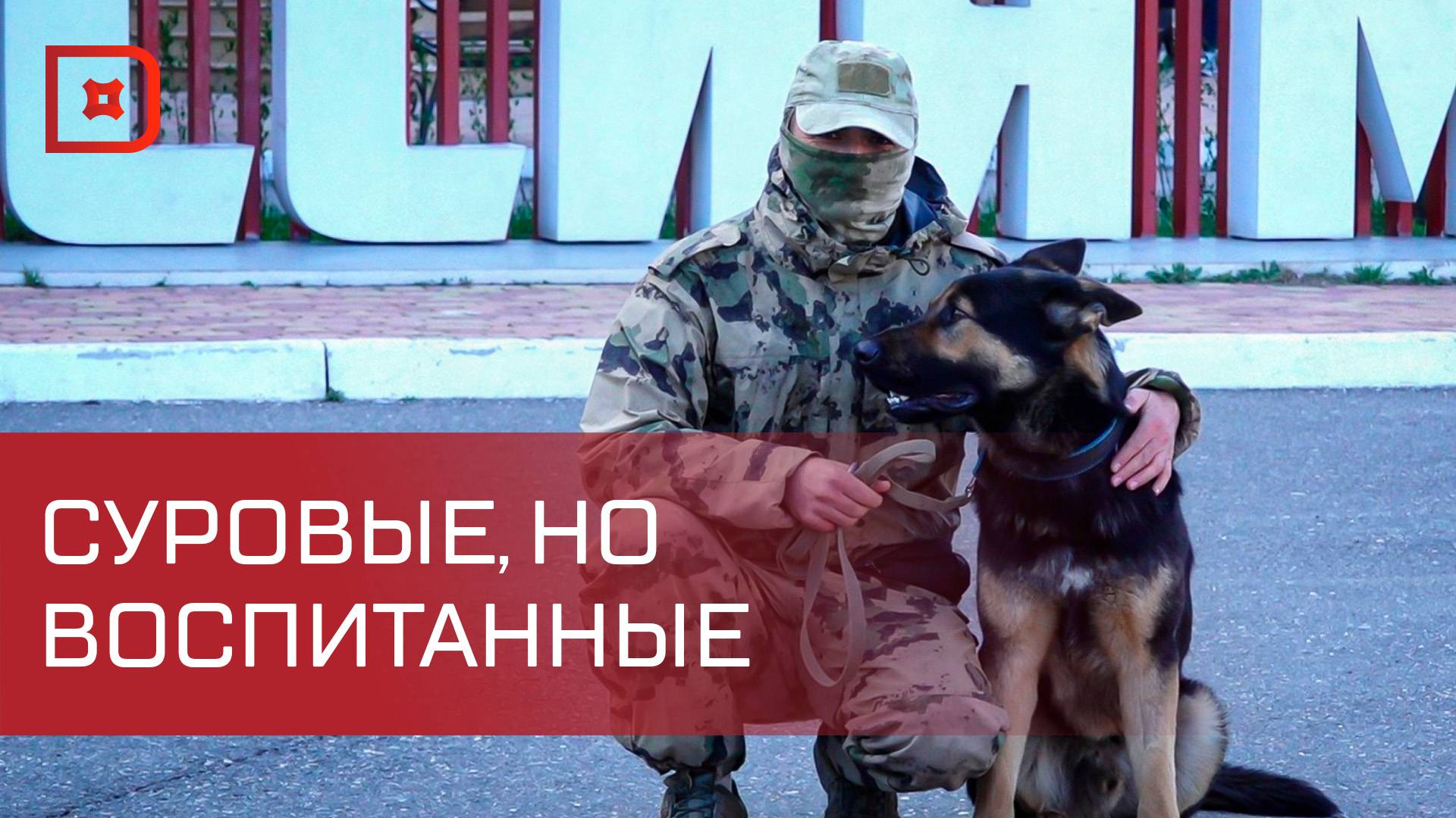 Дагестанские росгвардейцы продемонстрировали достижения кинологической службы