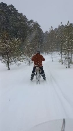 ПОТЕРЯЛИСЬ!