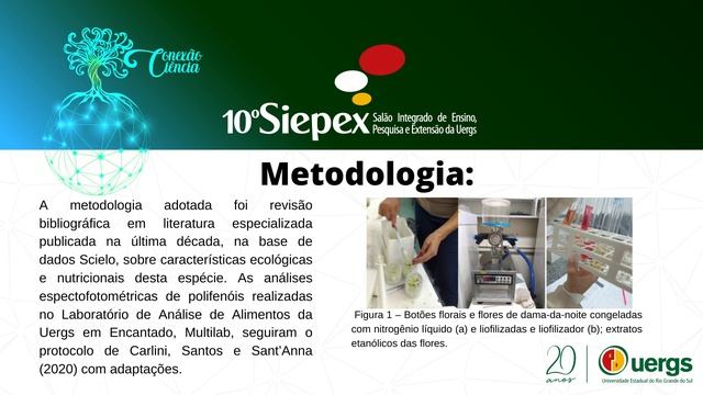 Características biológicas e nutricionais de Ipomoea alba L. (Convovulaceae) смотреть онлайн