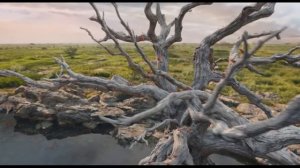 Жан Маким и Ерасыл Алибек -  Я всегда хотел брата (OST Муфаса 2024)