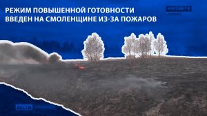 Вести-Смоленск - Режим повышенной готовности введен на Смоленщине из-за пожаров