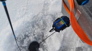 прозевал поклёвку