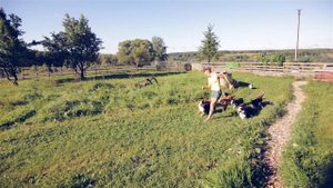 Корги кардиган vs сложный челлендж – кто победит? 🏆🐾