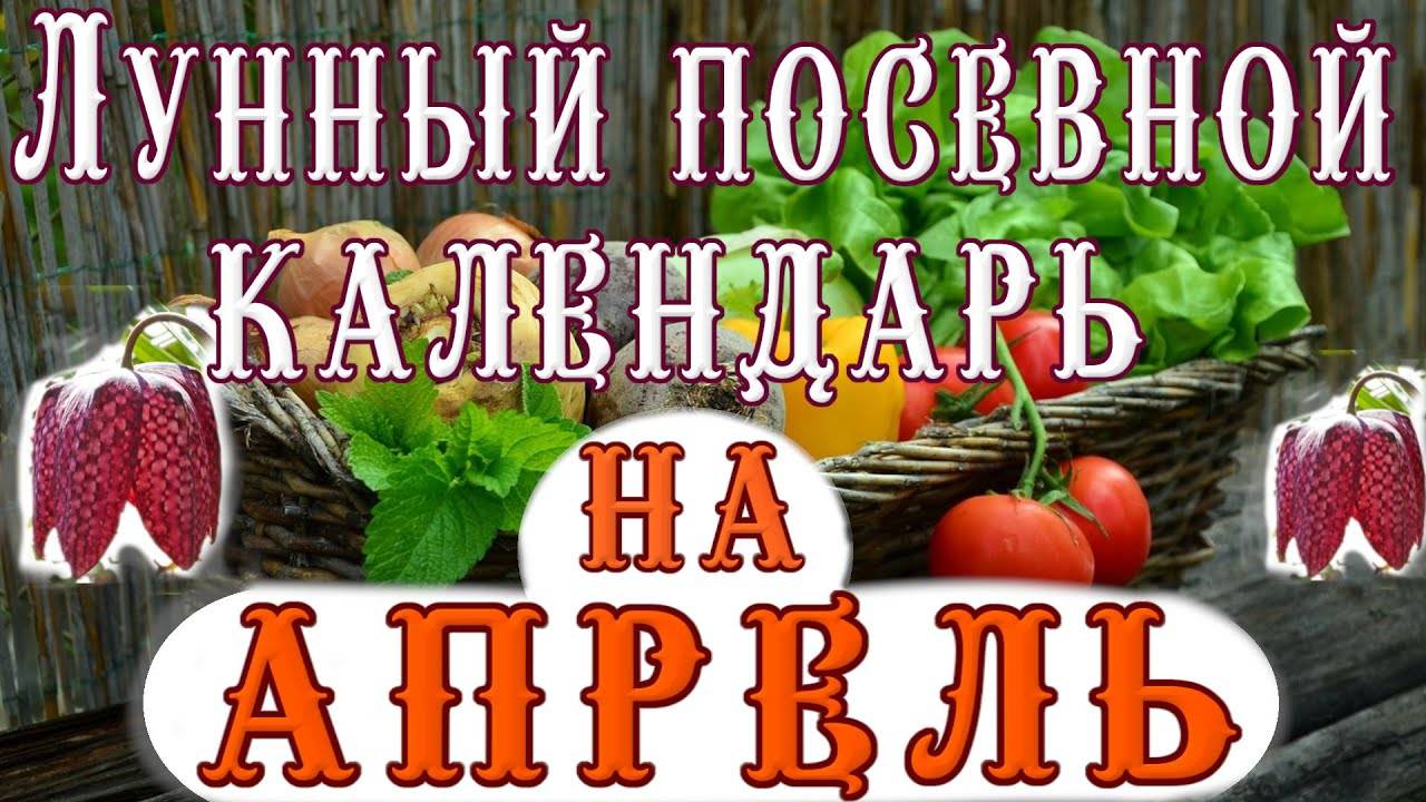 ЛУННЫЙ ПОСЕВНОЙ КАЛЕНДАРЬ на АПРЕЛЬ / LUNAR SOWING CALENDAR for APRIL