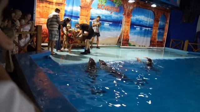 В дельфинарии смотреть онлайн