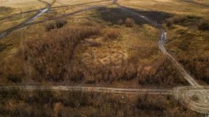 3892482  ТСН Крым