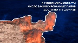 Вести-Смоленск - В Смоленской области число зафиксированных палов достигло 115 случаев