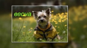 Время года. Какое твое любимое время года? Напиши ответ в коменты