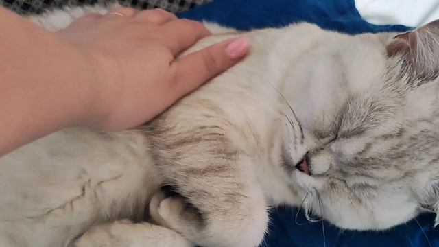 Проверяю ЛАЙФХАК номер 1 из Тик Тока Белые носки за несколько минут  #рекомендации #лайфхак #шортс