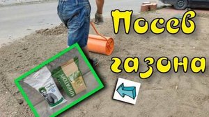 Посев газона