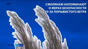 Вести-Смоленск - Смолянам напоминают о мерах безопасности из-за порывистого ветра