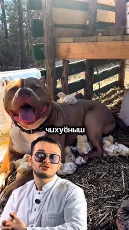 И так бывает