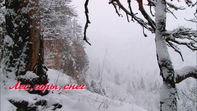 снег