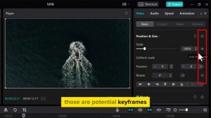 How to Add & Use Keyframes in Capcut PC & Mac [2024] Easy Tutorial