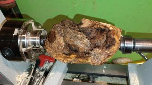 проект в будущее, дверная ручка из свилеватого сувеля берёзовый витиеватый нарост заливать бакситкою