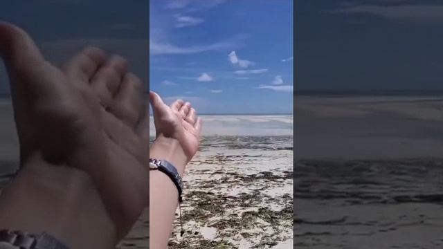 И ЭТО ТОЛЬКО НАЧАЛО!.mp4