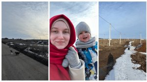 СЕЗОННОЕ МЫТЬЕ ОКОН / ГРЫЗУНЫ ПЛОДОВЫХ ДЕРЕВЬЕВ / ПРОГУЛКА ПО ЛУЖАМ И СЛЯКОТИ