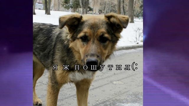 Красная цена из "Пятёрочки"еда ли это?