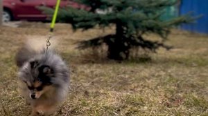 VID_20250329_211237_242.mp4.mov