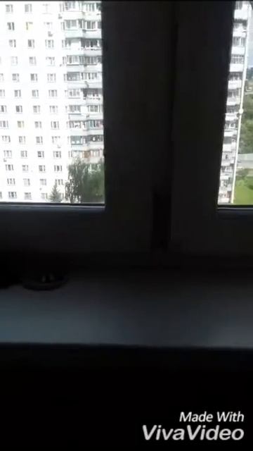 Голуби смотреть онлайн