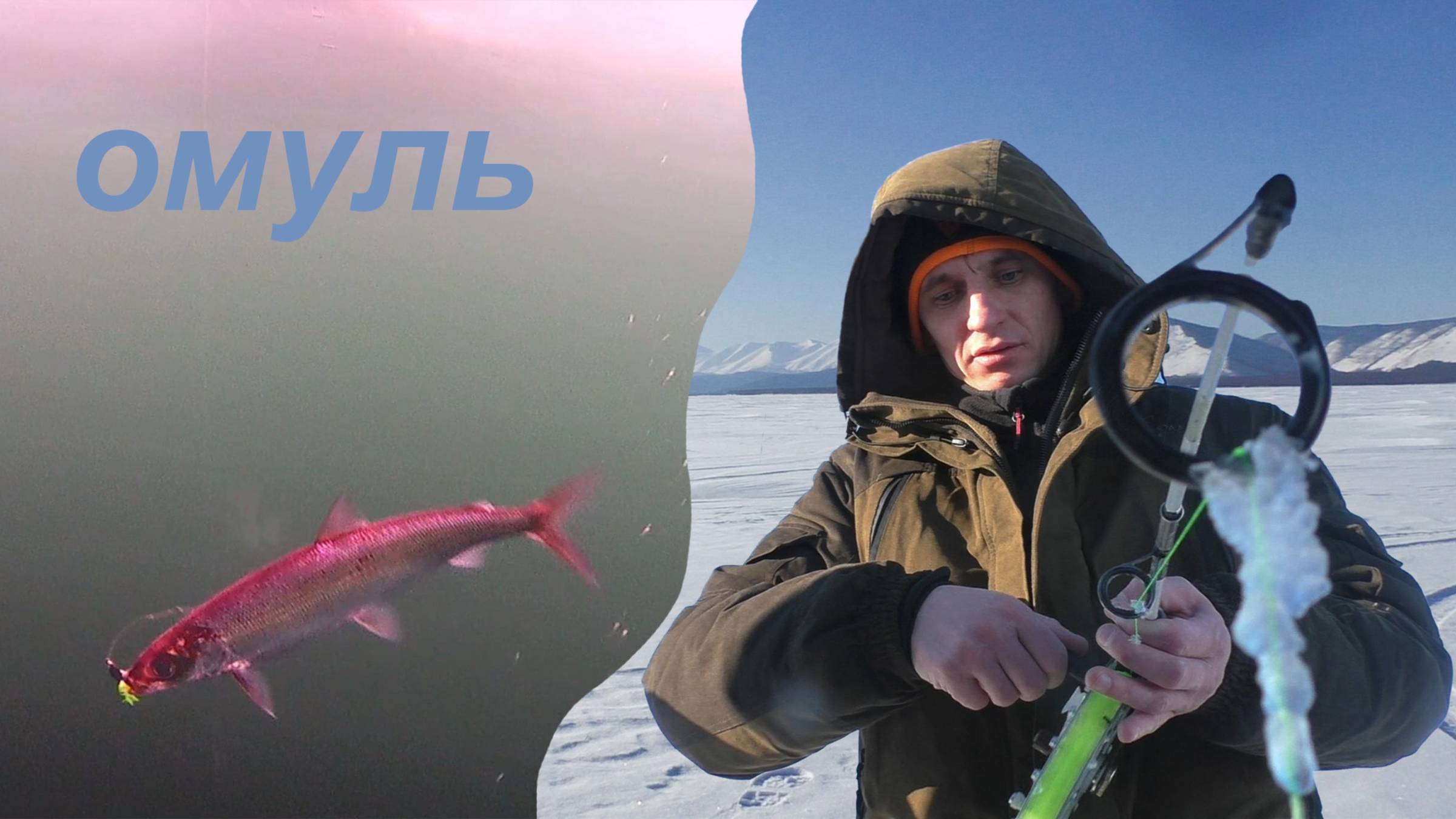 Рыбалка на ОМУЛЯ и НАЛИМА Байкал /дорабатываем катушку на омуля /готовим омуля