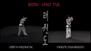 5 гып, Вон Хё, зелено-синий пояс, Won Hyo тхэквондо taekwondo таэквондо