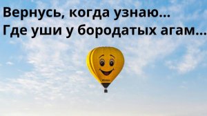 Где уши у ящериц