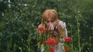 8891324-uhd_4096_2160_24fps