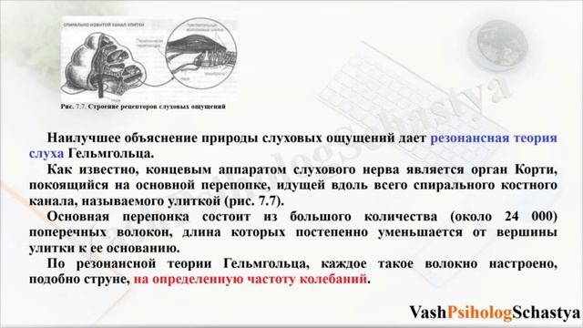 ⚡ 7.6.  Характеристика основных видов ощущений (кожные,вкусовые...) #вашпсихологсчасть #осознанность