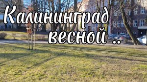 Калининград весной, центр