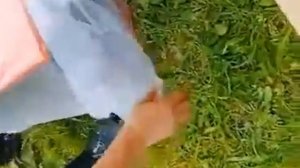 Активный сабвуфер DL Audio Barracuda 12A SE в ВАЗ 2107.