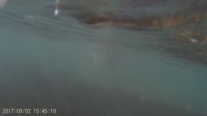 Кабардинка 2017. Купание