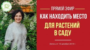 Как найти место для растений в саду