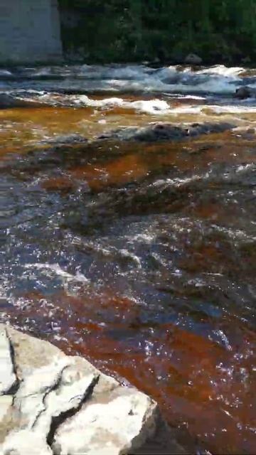 Река Ди. Шотландия. смотреть онлайн